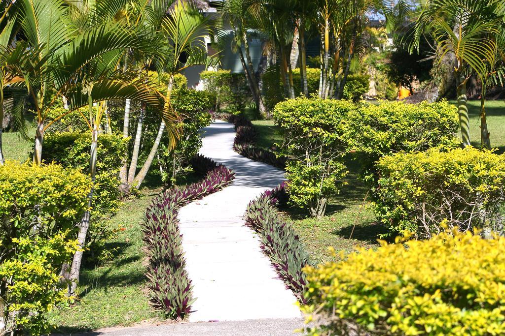 Mango Bay Resort Namatakula Eksteriør bilde